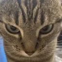 angry
