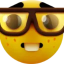 nerd