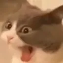 TT_REEEEE TT_REEEEE