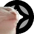 catjam