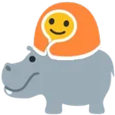 hippomorning hippomorning