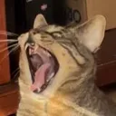 AAAAAA2