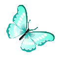 aquabutterfly