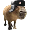 Commiebara