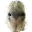 MyEvilReaction