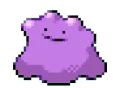 ditto