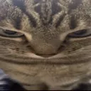 shutchobitchassup shutchobitchassup