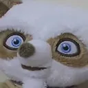 cursedShifu