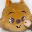 quokkapunchsquish