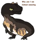 showoff_allo Discord Emoji