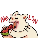 nexMelon nexMelon