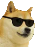 dogedance