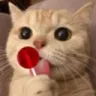 lolly