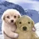 friendship