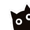 MorbidLurkPeekDNS