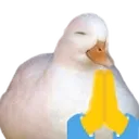 Prayge