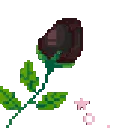 sm_roseblack