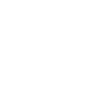 VS1