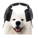 gz Discord emoji