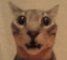 wow Discord emoji