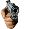 gun2