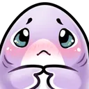 shy