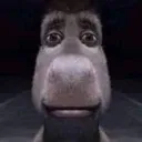 what