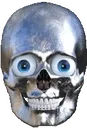 skull1 skull1