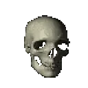 skullspin