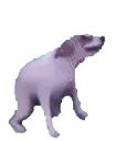 dogtwerk