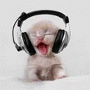 0babycatjam Discord Emoji