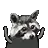 raccoonDance
