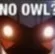 no_owl