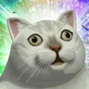 A_Cat_LSD A_Cat_LSD