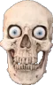 skullandroid