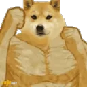 swolge