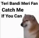SH_dogebandi Discord Emoji