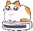 catspinfast catspinfast