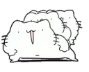 cat cat