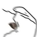 florkgotHit