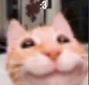 Catuwu catuwu Discord Emoji