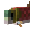 fish1