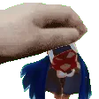 PetKion