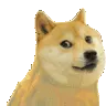 dogedance dogedance