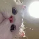 emoji_150 emoji_150