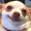 smiles smiles