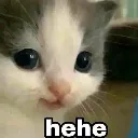 BL_CatHehe Discord Emoji