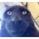 12890e871e0b4183ae1d18fc9d3ff139