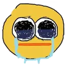 bro