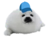sealCap